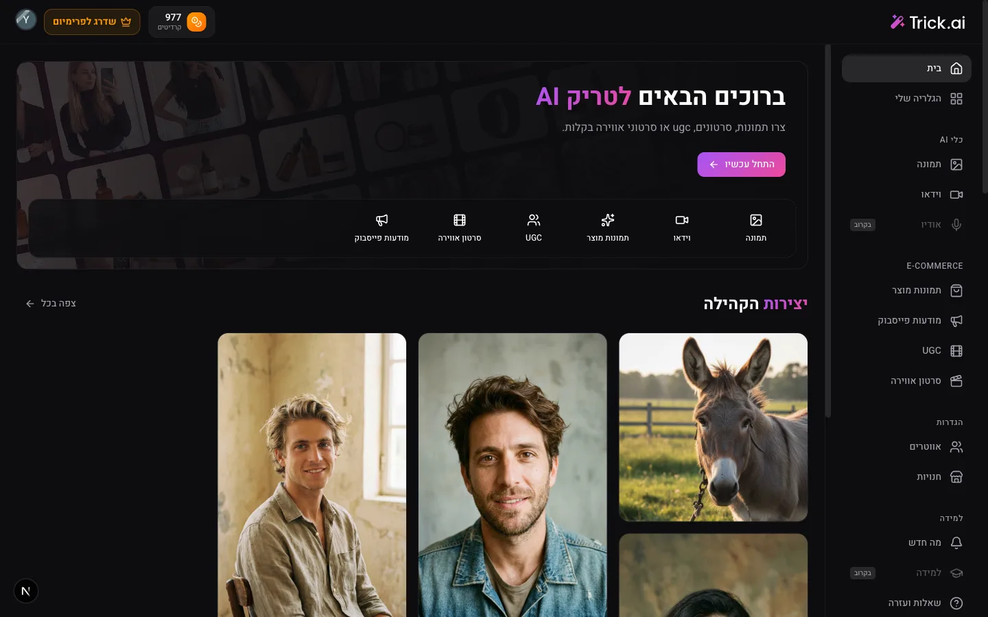 Hebrew Interface